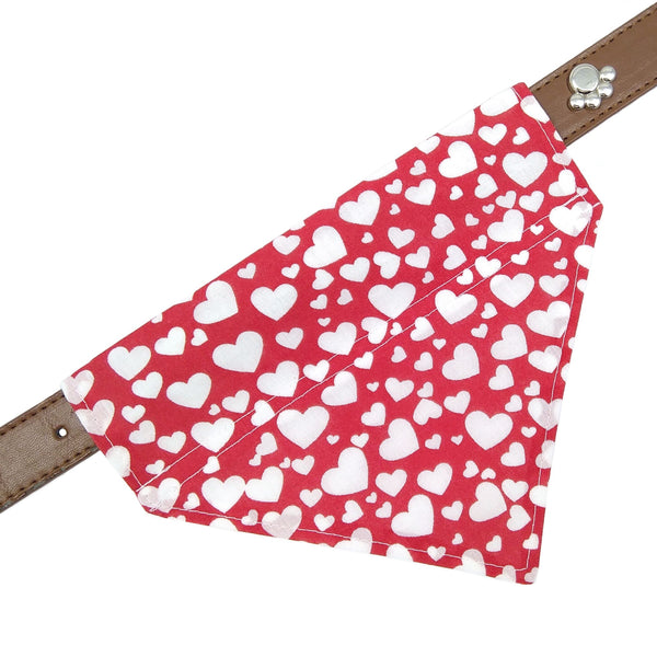 red dog bandana on collar from above