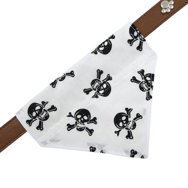 skulls dog bandana on collar