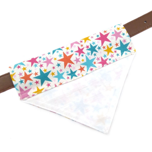 back view of lined coloured stars bandana on collar from above 