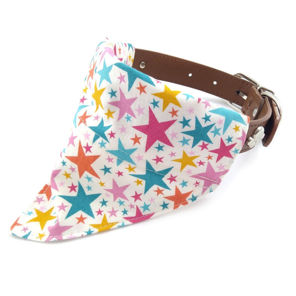 White with rainbow stars puppy bandana on dog collar from side