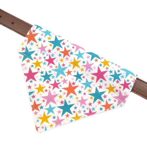 White with coloured stars puppy neckerchief on collar from above